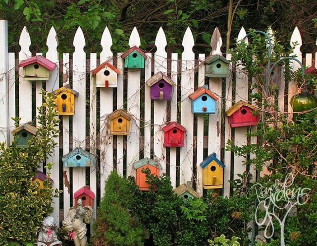 Spring Gardening Fence Line Edition